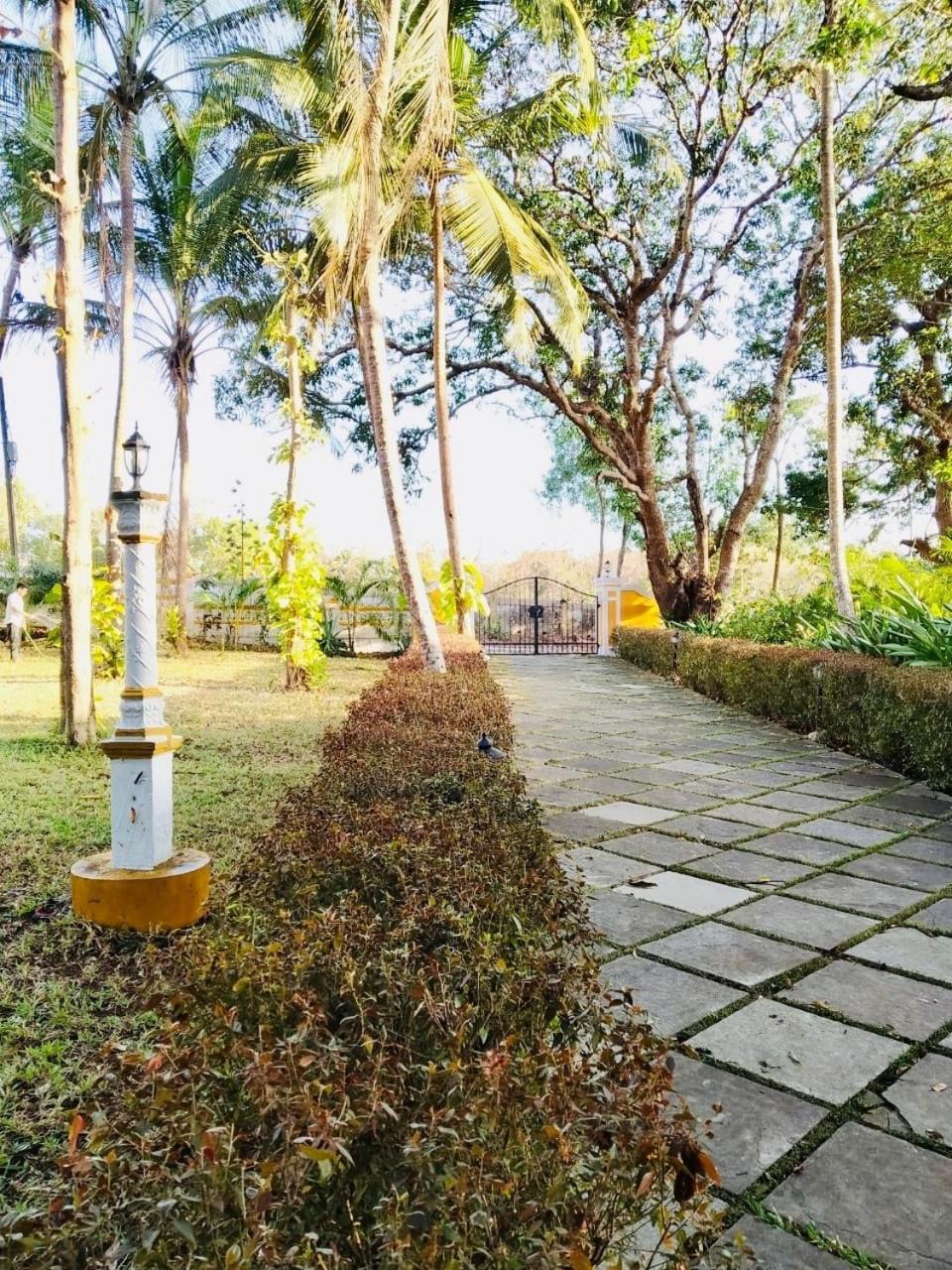 The Island Pool * Panaji
